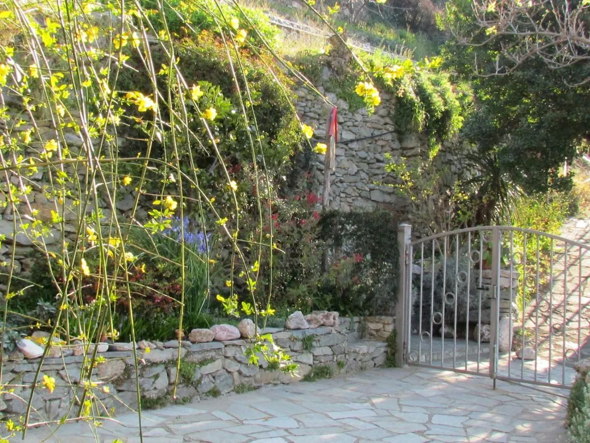 Casa Marta&Gino Apartment Carbuta