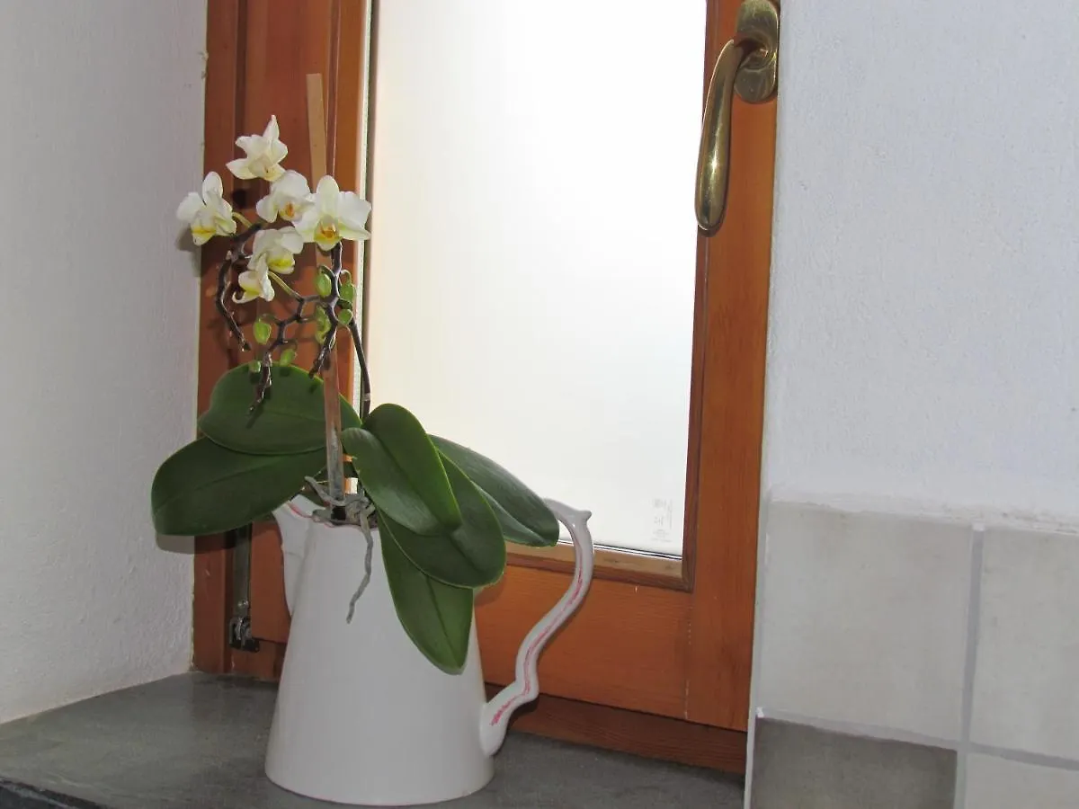 Casa Marta&Gino Apartment Carbuta